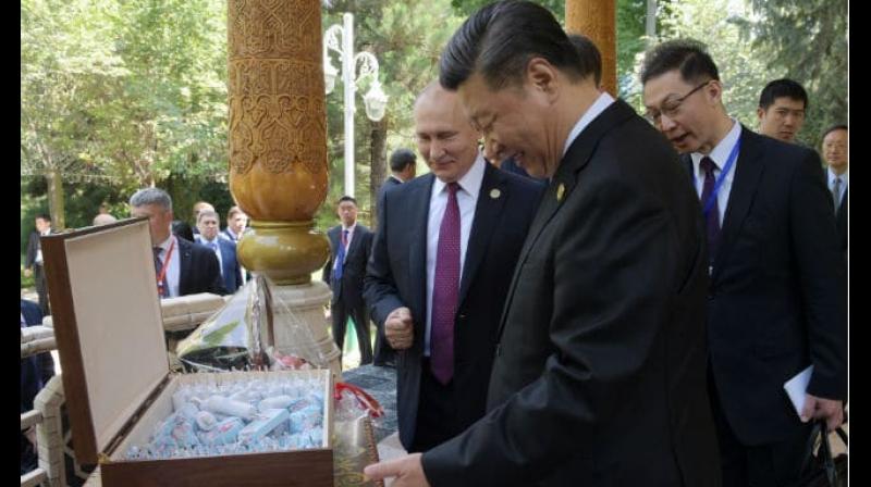 State television showed pictures of Xi and Putin holding up champagne glasses to toast Xi's birthday at the hotel he is staying at in Dushanbe, the capital of Tajikistan, where they are both attending a regional summit. (Photo: AFP) State television showed pictures of Xi and Putin holding up champagne glasses to toast Xi's birthday at the hotel he is staying at in Dushanbe, the capital of Tajikistan, where they are both attending a regional summit. (Photo: AFP)