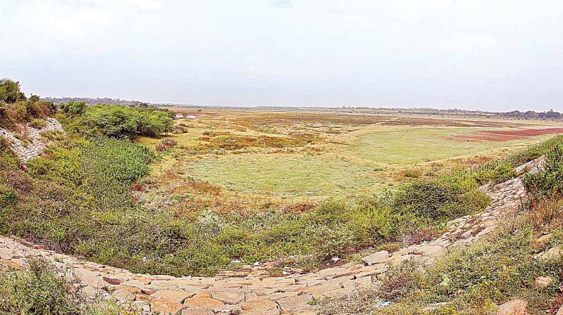 Hessarghatta and Thippagondanahalli were the early sources of drinking water for coty till we started getting water from Cauvery Hessarghatta and Thippagondanahalli were the early sources of drinking water for coty till we started getting water from Cauvery