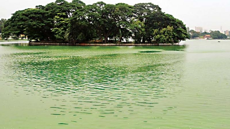 Rebuild water security and a healthy habitat to stave off effects of climate crisis that is looming. Rebuild water security and a healthy habitat to stave off effects of climate crisis that is looming.