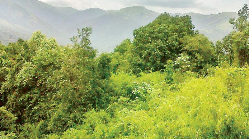 The government received representations from locals, builders and industrialists expressing concern over development taking a hit in areas falling in the buffer zone. The government received representations from locals, builders and industrialists expressing concern over development taking a hit in areas falling in the buffer zone.