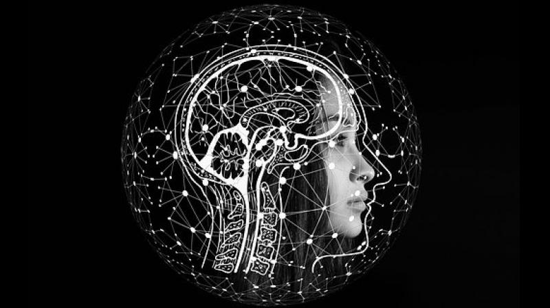 It has not been clear whether asymmetry of the brains anatomy is affected in autism, because different studies have reported different findings. (Photo: Representational/Pixabay) It has not been clear whether asymmetry of the brains anatomy is affected in autism, because different studies have reported different findings. (Photo: Representational/Pixabay)