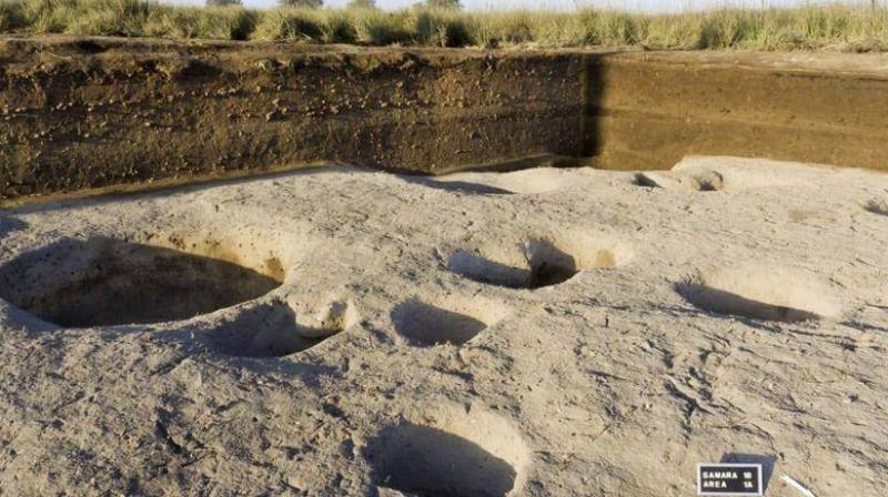 The ministry said the find indicates that humans inhabited the fertile Tell al-Samara, in the northern province of El-Dakahlia. (Photo: The Guardian) The ministry said the find indicates that humans inhabited the fertile Tell al-Samara, in the northern province of El-Dakahlia. (Photo: The Guardian)