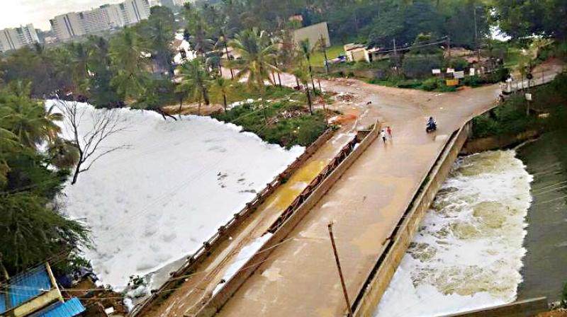 Hearing the encroachment case of buffer zone Bellandur lake filed by Forward Foundation on Monday, the NGT directed both the state government and the promoter to come out with an action plan on clearing rajakaluves during the next hearing scheduled on May 26.(Representational image) Hearing the encroachment case of buffer zone Bellandur lake filed by Forward Foundation on Monday, the NGT directed both the state government and the promoter to come out with an action plan on clearing rajakaluves during the next hearing scheduled on May 26.(Representational image)