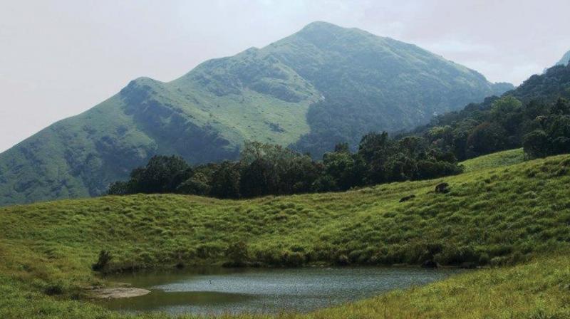 Chembra Peak Chembra Peak