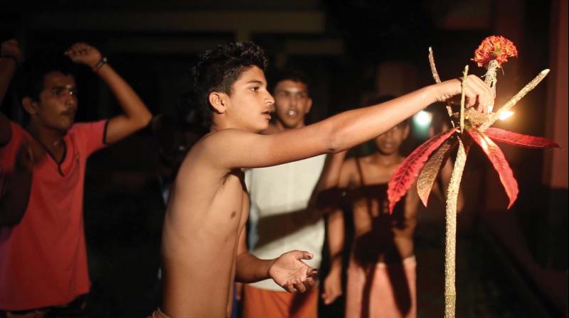 Tulu youth fix ‘palamaram’ to celebrate Poliyandram during last Deepavali season. Tulu youth fix ‘palamaram’ to celebrate Poliyandram during last Deepavali season.