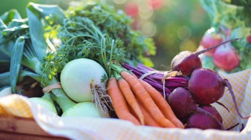 It helps people track their intake and tally up vegetable serves, with daily reminders and rewards to help people stay motivated and on-track. (Photo: Pexels) It helps people track their intake and tally up vegetable serves, with daily reminders and rewards to help people stay motivated and on-track. (Photo: Pexels)