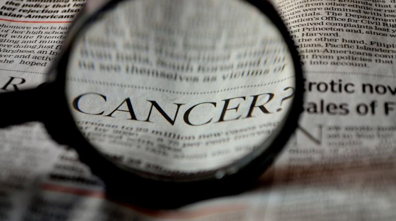 The Associate Professor also added that her team reached a conclusion that by administering an antibody that blocks MR1 to mice stops the MAIT cells from getting activated. (Photo: Representational/Pixabay) The Associate Professor also added that her team reached a conclusion that by administering an antibody that blocks MR1 to mice stops the MAIT cells from getting activated. (Photo: Representational/Pixabay)