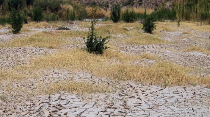 La Nina is a natural cooling of parts of the Pacific that alters weather patterns around the globe. La Nina is a natural cooling of parts of the Pacific that alters weather patterns around the globe.