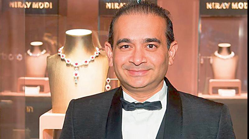 Nirav Modi's extradition trial to begin in UK in over $2 bn fraud. (PTI Photo) Nirav Modi's extradition trial to begin in UK in over $2 bn fraud. (PTI Photo)