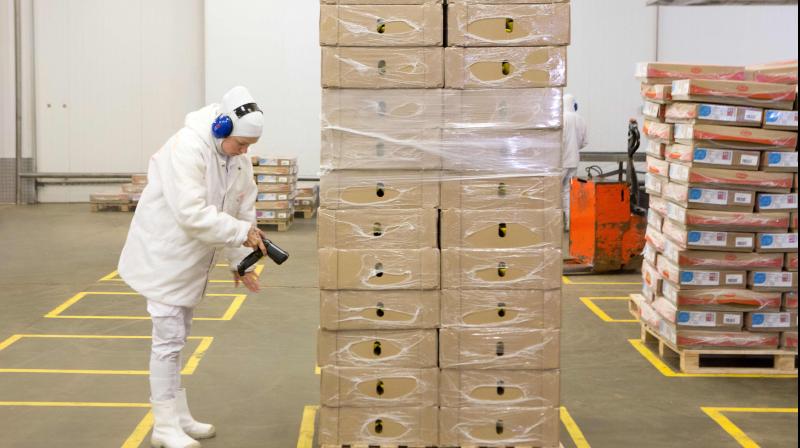 Japan's exports plunged nearly 22 per cent in Apri. (AFP) Japan's exports plunged nearly 22 per cent in Apri. (AFP)