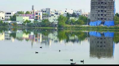 Scientific writing companies in hyderabad Scientific writing companies in hyderabad
