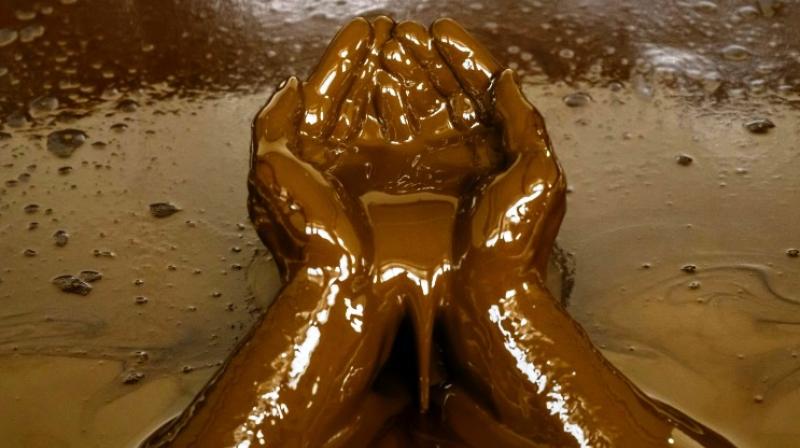 The local oil is used to treat to cure muscular, skin and bone conditions as well as gynaecological and neurological problems. (Photo: AFP) The local oil is used to treat to cure muscular, skin and bone conditions as well as gynaecological and neurological problems. (Photo: AFP)