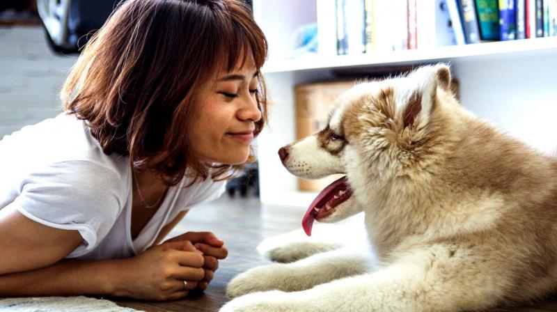 You need to understand that she is undergoing hormonal changes and cater to her emotional needs patiently. (Photo: Representational/Pexels) You need to understand that she is undergoing hormonal changes and cater to her emotional needs patiently. (Photo: Representational/Pexels)
