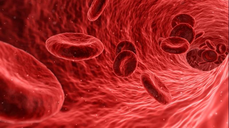 According to the Indian Council of Medical Research (ICMR), in India there will be more than 17 lakh new cases of cancer and over 8.8 lakh deaths are predicted in 2020. According to the Indian Council of Medical Research (ICMR), in India there will be more than 17 lakh new cases of cancer and over 8.8 lakh deaths are predicted in 2020.