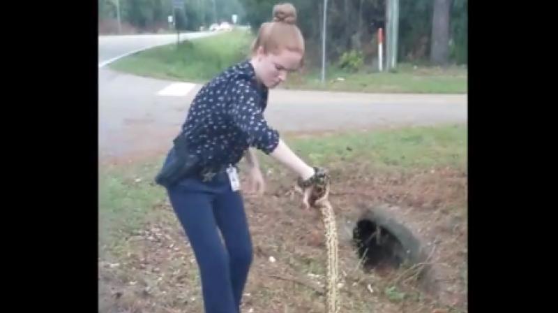 The roller coaster footage shows the snake trying to bite the officer's foot but after some struggle she manages to put it in a duffle bag. (Photo: Facebook/Leon County Sheriff's Office) The roller coaster footage shows the snake trying to bite the officer's foot but after some struggle she manages to put it in a duffle bag. (Photo: Facebook/Leon County Sheriff's Office)