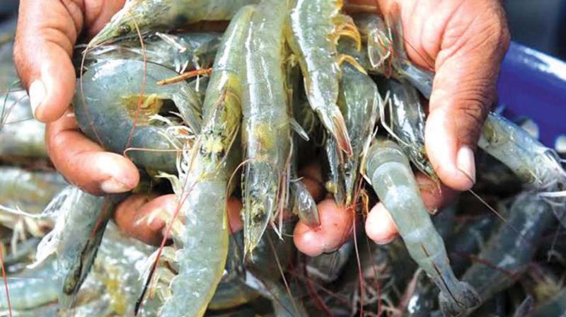 China has a production of 49 million tonnes of aquaculture while India is way below with 6 million tonnes. China has a production of 49 million tonnes of aquaculture while India is way below with 6 million tonnes.