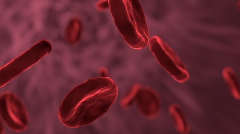Biomarkers could help optimise anticancer therapy. (Photo: Pixabay) Biomarkers could help optimise anticancer therapy. (Photo: Pixabay)