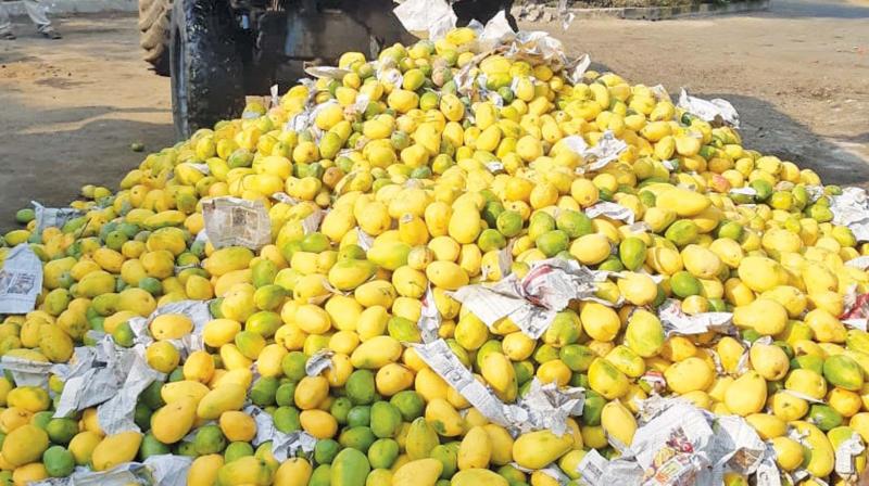 Officials of the Food Safety and Standards Authority of India (FSSAI) and Market Management Committee (MMC) inspecting fruit shops in Koyambedu, in a bid to stop the practice of use of ethylene sachets by vendors for ripening of fruits (Photo - DC) Officials of the Food Safety and Standards Authority of India (FSSAI) and Market Management Committee (MMC) inspecting fruit shops in Koyambedu, in a bid to stop the practice of use of ethylene sachets by vendors for ripening of fruits (Photo - DC)