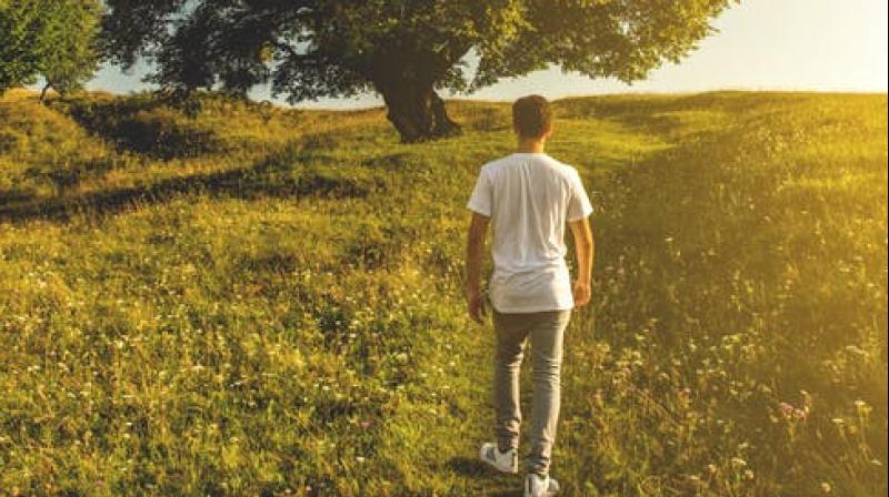 Spending at least 20 minutes in a natural surrounding every day can lower stress. (Photo: Representational/Pexels) Spending at least 20 minutes in a natural surrounding every day can lower stress. (Photo: Representational/Pexels)