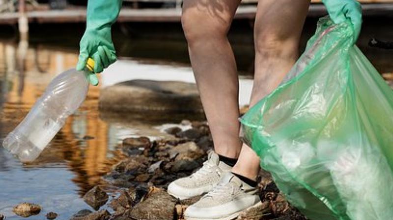 The campaign uses an innovative approach to fight pollution. (Photo: Representational/Pixabay) The campaign uses an innovative approach to fight pollution. (Photo: Representational/Pixabay)
