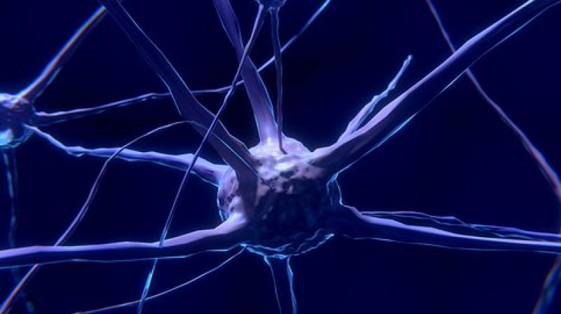 The drug works on glucose metabolism modification in stressed neurons. (Photo: Representational/Pixabay) The drug works on glucose metabolism modification in stressed neurons. (Photo: Representational/Pixabay)