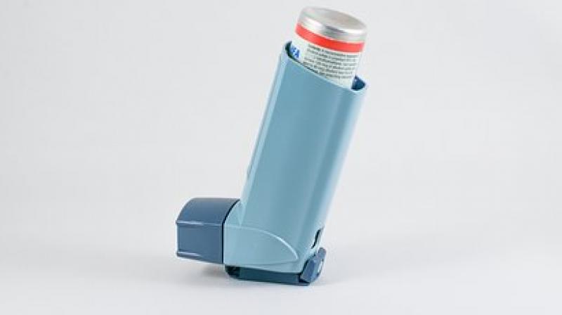 Asthma is a common chronic illness, especially in Western countries. (Photo: Representational/Pixabay) Asthma is a common chronic illness, especially in Western countries. (Photo: Representational/Pixabay)