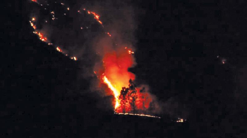 The wildfire that broke out on the Hulikal slopes near Coonoor on Monday night at 8 pm spread quickly along the slopes. The wildfire that broke out on the Hulikal slopes near Coonoor on Monday night at 8 pm spread quickly along the slopes.