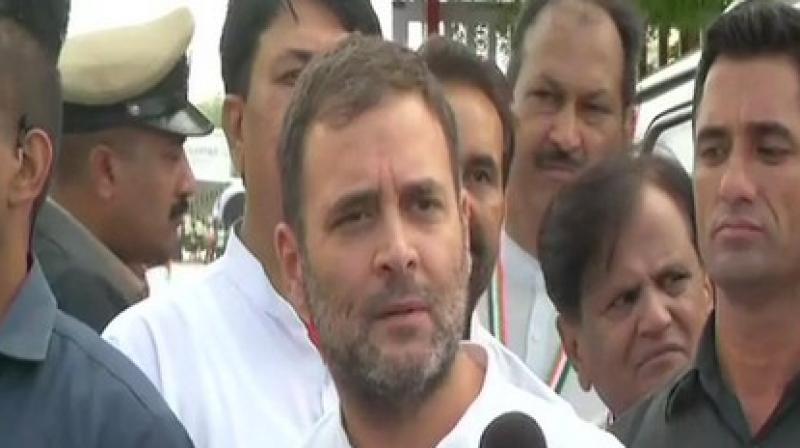 Rahul was granted bail by the court (Photo; ANI) Rahul was granted bail by the court (Photo; ANI)