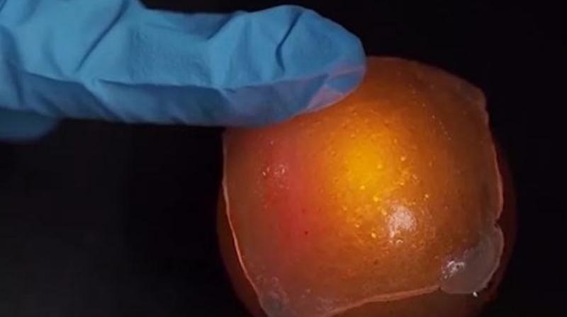 The researchers mixed elastic plastic with a fluorine-rich ionic liquid into a gel to create a transparent skin. (Photo: CNET) The researchers mixed elastic plastic with a fluorine-rich ionic liquid into a gel to create a transparent skin. (Photo: CNET)