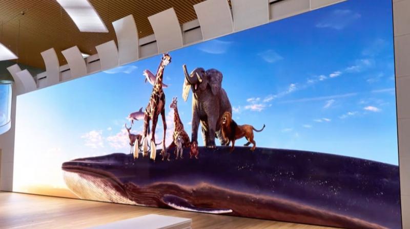 Sony relates this display as a 'window to the world.' (Photo: BBC) Sony relates this display as a 'window to the world.' (Photo: BBC)
