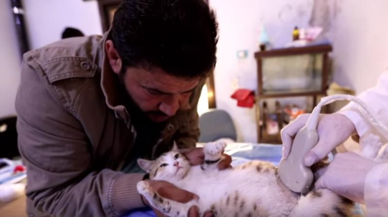 The shelter does more than provide twice-daily meals: It also serves as an animal clinic with its in-house vet. (Photo: VideoGrab/AFP) The shelter does more than provide twice-daily meals: It also serves as an animal clinic with its in-house vet. (Photo: VideoGrab/AFP)