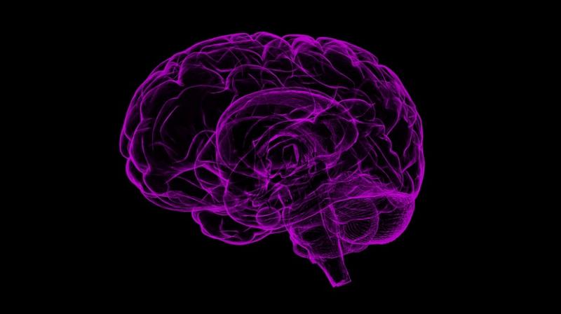 New study explains how 'skinny fat' could predict risk of Alzheimer's.(Photo: Pixabay) New study explains how 'skinny fat' could predict risk of Alzheimer's.(Photo: Pixabay)