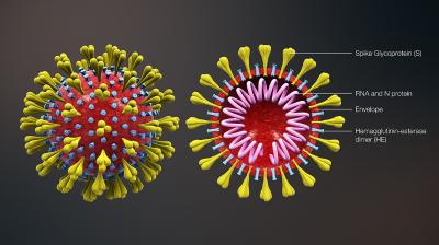 According to the scientists, the methods used in the study could be applied to the very latest coronavirus genome sequencing to help predict future global hot spots of disease transmission and surge. (Photo | Wikimedia Commons - Scientificanimations.com)
