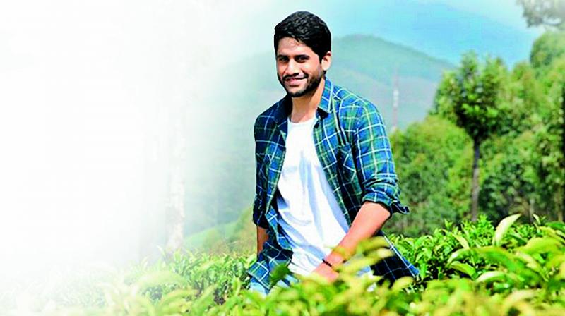 Naga Chaitanya Naga Chaitanya