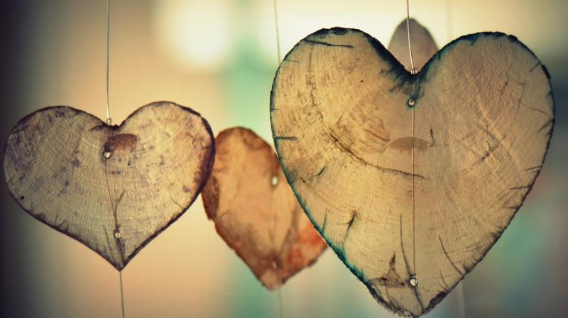 Heart is the most vital organ as it supplies blood to all the other organs of the body. (Photo: Pixabay) Heart is the most vital organ as it supplies blood to all the other organs of the body. (Photo: Pixabay)