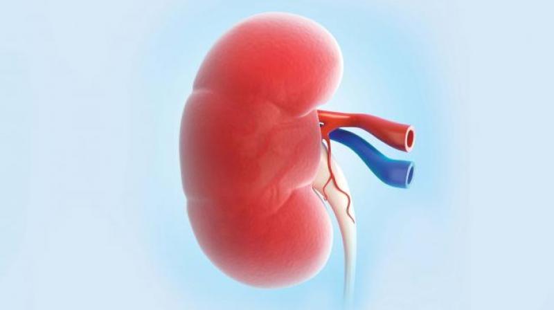 The private hospital entered into a memorandum of understanding with Sri Venkateswara Institute of Medical Sciences (SVIMS) seven years ago to extend dialysis and other services to patients with kidney ailments, through a public-private partnership mode.   Representational image/By arrangement