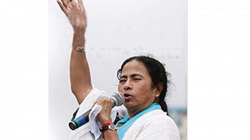 Didi: The Untold Mamata Banerjee by Shutapa Paul, Penguin Random House, Rs 299. Didi: The Untold Mamata Banerjee by Shutapa Paul, Penguin Random House, Rs 299.
