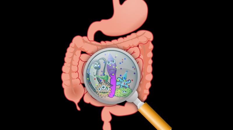 First gut bacteria may fight chronic diseases better. (Photo: Pixabay) First gut bacteria may fight chronic diseases better. (Photo: Pixabay)