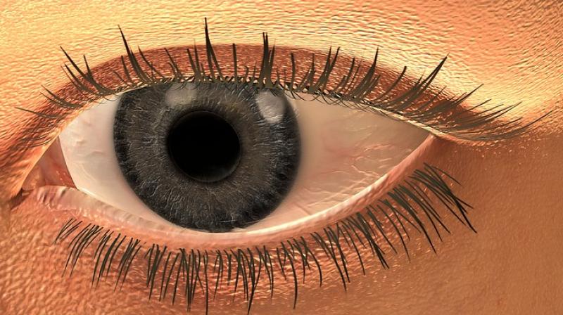 11-year-old boy's eyelashes are almost two inches long. (Photo: Pixabay) 11-year-old boy's eyelashes are almost two inches long. (Photo: Pixabay)