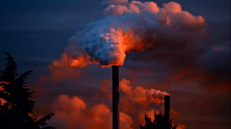 This opens the door to the creation of larger mats that could soak up toxic chemicals in places like war zones. (Photo: Pixabay) This opens the door to the creation of larger mats that could soak up toxic chemicals in places like war zones. (Photo: Pixabay)