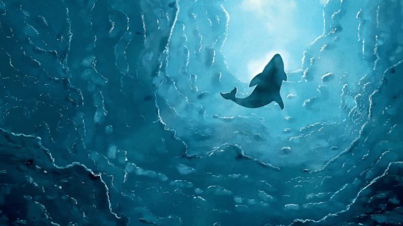 Sudden death of whales occuring in Atlantic. (Photo: Pixabay) Sudden death of whales occuring in Atlantic. (Photo: Pixabay)