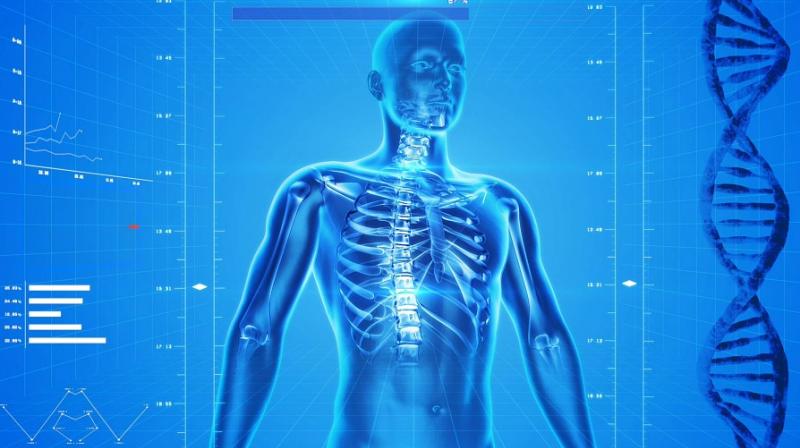 Weight loss could worsen bone density. (Photo: Pixabay) Weight loss could worsen bone density. (Photo: Pixabay)
