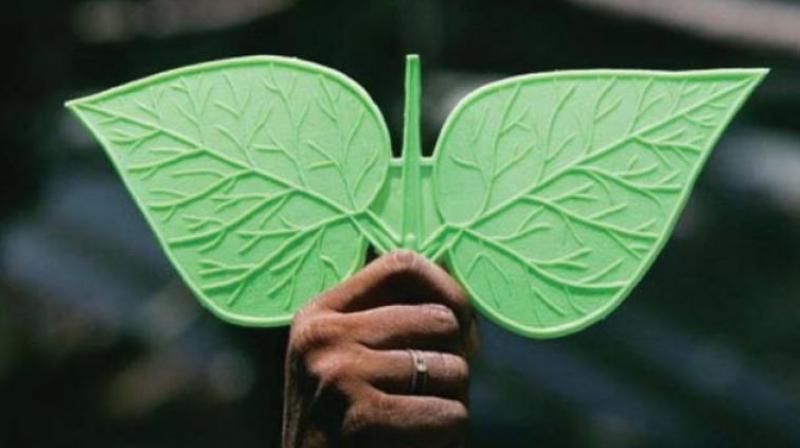 Dinakaran's faction contested on the hat symbol after the Election Commission froze their two leaves symbol while acknowledging the split in the party. (Photo: File) Dinakaran's faction contested on the hat symbol after the Election Commission froze their two leaves symbol while acknowledging the split in the party. (Photo: File)