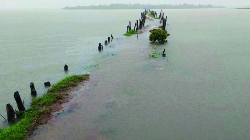Marooned: Fields submerged due to incessant rains at Vajrapakotturu in Srikakulam district on Tuesday. Marooned: Fields submerged due to incessant rains at Vajrapakotturu in Srikakulam district on Tuesday.