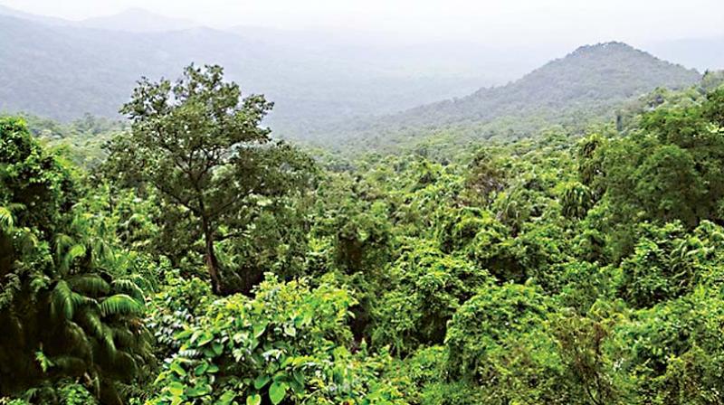Eastern Ghats Eastern Ghats