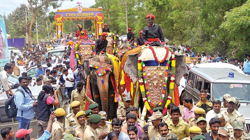 ‘Gajapayana’, the journey of first batch of Dasara elephants from their respective forest camps to Mysuru city, began from Veeranahosahalli Gate on the outskirts of Nagarahole Reserve Forest in Hunsur taluk on Saturday morning. (Photo: KPN) ‘Gajapayana’, the journey of first batch of Dasara elephants from their respective forest camps to Mysuru city, began from Veeranahosahalli Gate on the outskirts of Nagarahole Reserve Forest in Hunsur taluk on Saturday morning. (Photo: KPN)