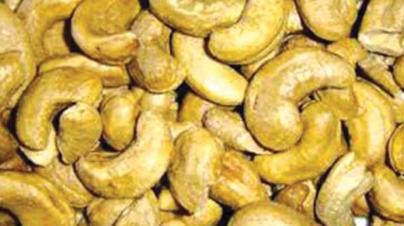 Kollam district, which was once cited as the cashew capital of India, alone has nearly 400 factories shut in the process. Kollam district, which was once cited as the cashew capital of India, alone has nearly 400 factories shut in the process.