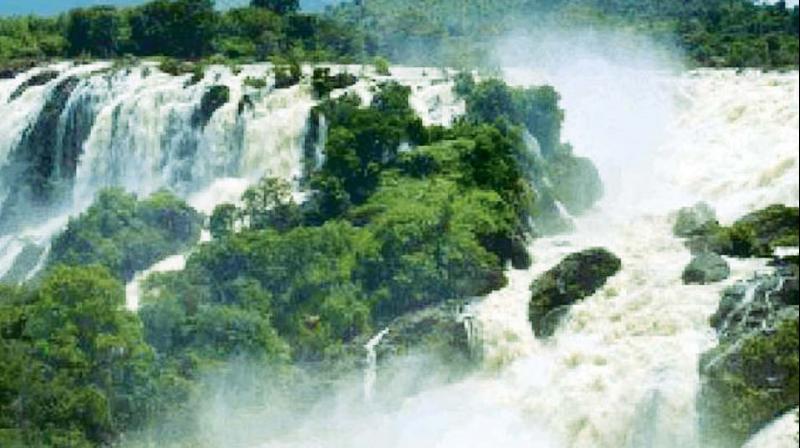 The river Cauvery in full flow at the Shivanasamudra falls in Mandya district. The river Cauvery in full flow at the Shivanasamudra falls in Mandya district.