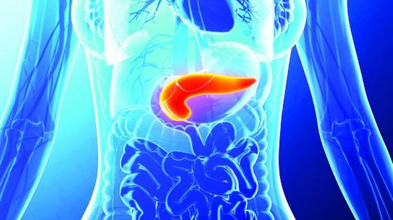 Liquid Biopsy Test discovered by Johns Hopkins helps in early detection. 2 CC of blood is drawn to detect circulating cancer cells. Liquid Biopsy Test discovered by Johns Hopkins helps in early detection. 2 CC of blood is drawn to detect circulating cancer cells.