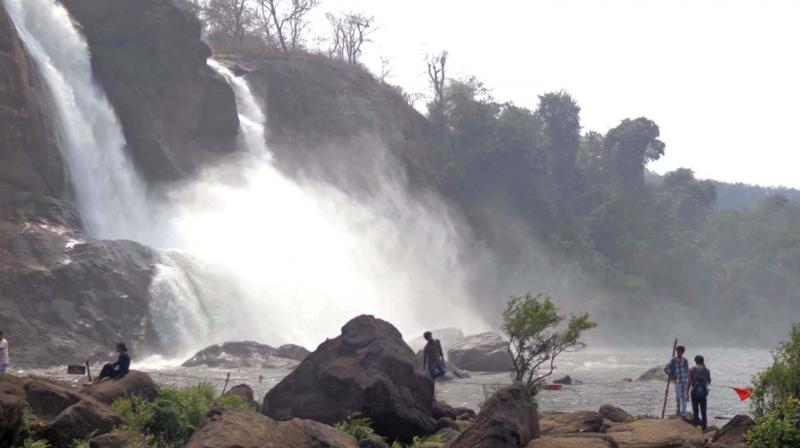 Athirappilly water falls. Athirappilly water falls.